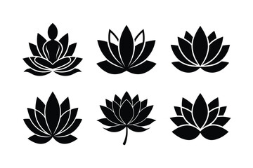 Timeless botanical silhouette set on white background