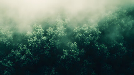 Soft glowing forest scene with warm green hues.