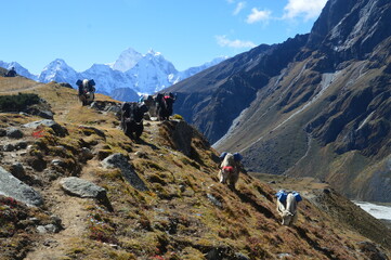 The stunning Himalayan Mountain ranges with snowy  glaciars and breathtaking views of Mount Everest, Ama Dablam and Lhotse while trekking
