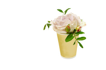 Delicate Bloom in a Cup