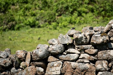 Handmade drywall in Scotland