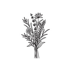 Flower bouquet vector. Hand drawn flower. Wildflower line art bouquets, wild plant, botanical vector illustration
