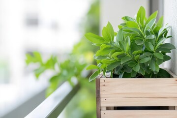 Stylish urban balcony garden showcases wooden crates repurposed as innovative plant beds, highlighting creativity and sustainability.