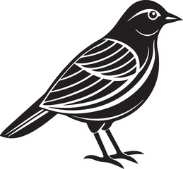 bird on a white background