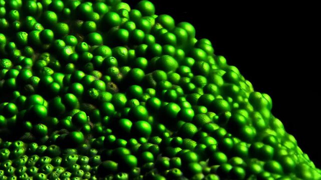 Green micro-organisms revealed in close-up view showcasing intricate details and textures