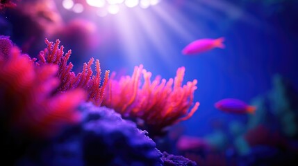 Vibrant Underwater Coral Reef Scene with Pink Corals and Fish