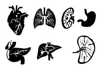 Set of human organ anatomy silhouette illustration