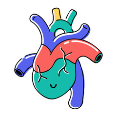 Colorful Anatomy Heart Vector: Friendly and Playful Design