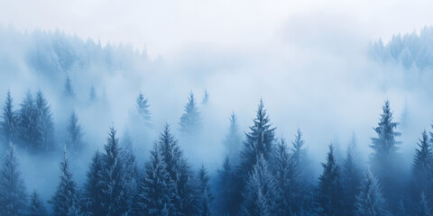 Obraz premium Mystical Forest Foggy Landscape, Enchanting Pine Trees in Mist, Serene Nature Beauty, Blue Toned Woodland Scene