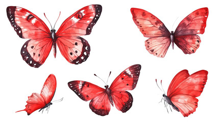 Red butterflies in watercolor style isolated on white or transparent png 
