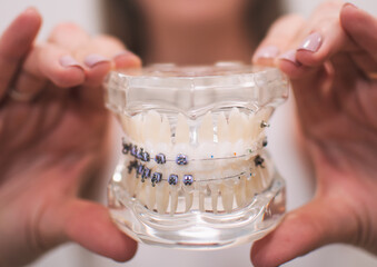 Odontologia