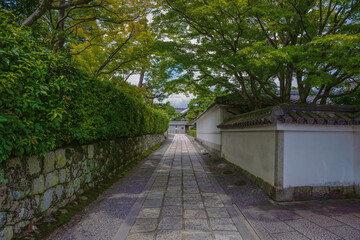 京都 妙心寺 山内に建ち並ぶ塔頭寺院の風景
