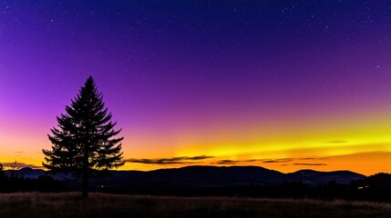 Lone pine tree silhouetted against a vibrant aurora borealis in a serene landscape, showcasing the natural beauty and tranquility of the northern lights in a breathtaking night sky.
