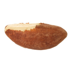 One tasty Brazil nut isolated on white