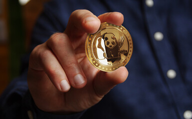 Panda chinese golden coin 3d illustration © Skórzewiak