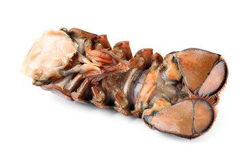 One raw lobster tail isolated on white