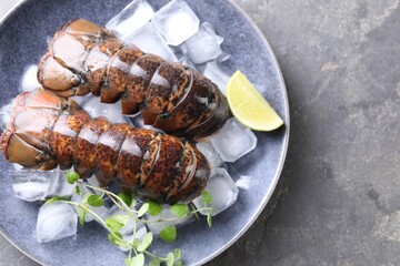 Raw lobster tails with microgreens, lime and ice on grey table, top view. Space for text