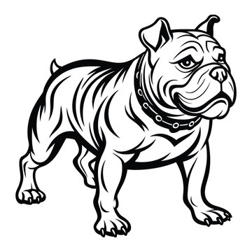 recommend clip art: old Bulldog Mascot Illustration