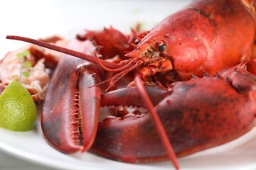 Delicious boiled lobster served on white table, closeup