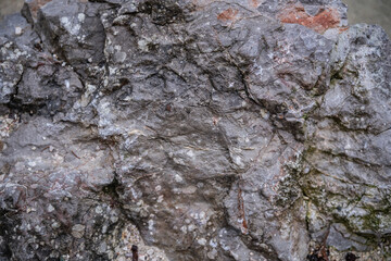Textured rock formation with mineral patterns under natural light