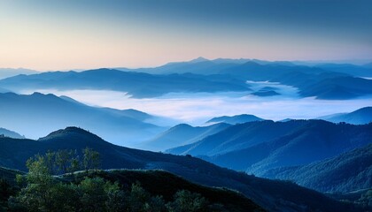 landscape in the morning