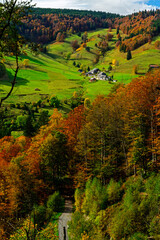 Obraz premium A farm, meadows and forests near Todtnau, Black Forest