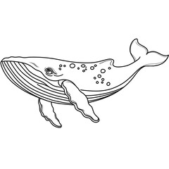 illustration of a fish. Coloring book page for adult. Underwater seabed with algae and corals, line art design and fish.