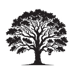 Obraz premium Oak Tree Silhouette - Clear Black and White Oak for Prints - Oak Tree Vector - Oak Tree Illustration - Minimalist Oak Silhouette - Oak Vector - Oak Digital Art 