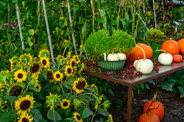 Autumn