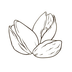 Pistachios nuts in shell and kernels, hand drawn vector food illustration