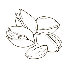 Pistachios nuts in shell and kernels, hand drawn vector food illustration