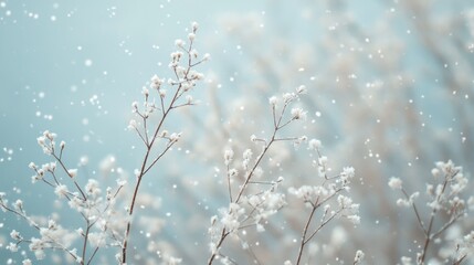 Naklejka premium Winter Wonderland: Frosty Branches and Falling Snow