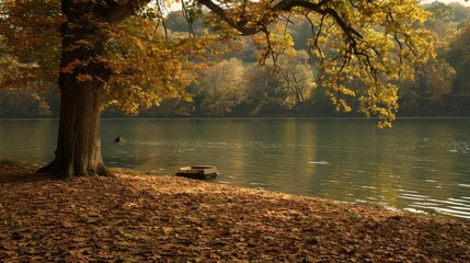 Autumnal Serenity: A Lakeside Reflection