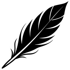 Obraz premium feather