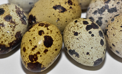 photos of quail eggs on a white background.