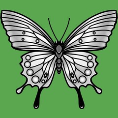 Butterfly top view black and white image isolated on green, cartoon character.