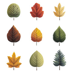 Obraz premium Collection of Diverse Autumn Leaves in Various Shapes and Colors