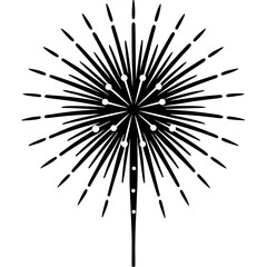 Obraz premium black and white fireworks