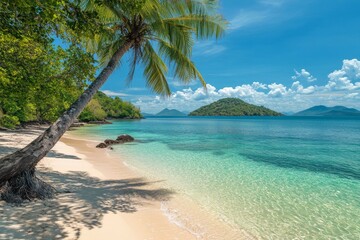 Fototapeta premium Serene tropical beach with clear turquoise water and palm trees on a sunny day in coastal paradise