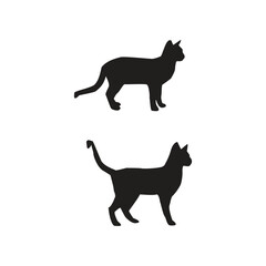 black cat silhouette