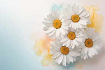 Obraz premium Delicate Watercolor Bouquet of Soft White Daisies on Background