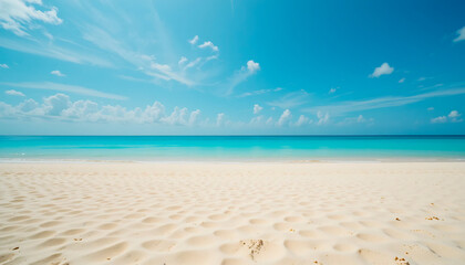 Obraz premium tropical beach with palm tree