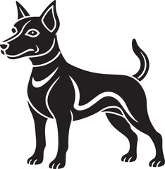 black and white dog