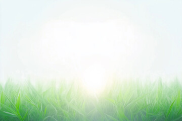 Fototapeta premium A clean bright background with the glare of sunlight providing copy space with fresh grass on the bottom.
