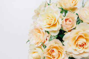Delicate Cream Roses in a Bright and Minimalistic Indoor Setting