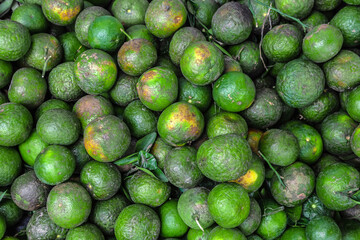 delicious green vietnamese oranges at the market