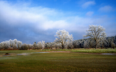 Obraz premium Winter landscape with frost covered trees