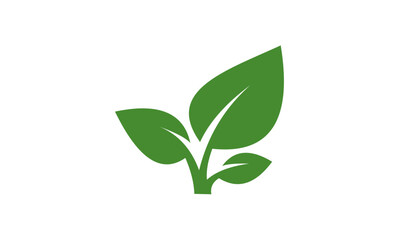 green leaf design