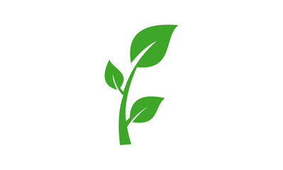 green leaf design