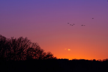 sunset in the sky